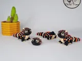 Flexi Mini Choco Pebbles Gila Monster | Movable Head Version-2