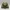 Ancient Stone Crocodile – Temple Guardian Relic Diorama
