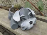 SCHNAUZER POT-5