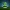 🌱 定制绿色 🟩 VIBEZ 标志树 🌲 PLA木质支架