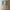 Busto 3D de Sydney Sweeney con marco