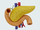 Pancreas, Duodenum and Vascular System - Anatomical Model-0