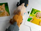 Knitted Kitty Photo Holder - Multipart-4