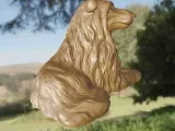 Dog Colley-2