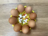 Flower easter eggs holder-2
