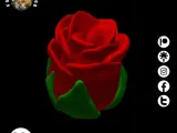 Rose-0
