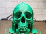 Neil E. Skull version 2.0 - Print-In-Place-8
