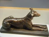 Tom, the Algerian Greyhound-0