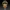 Funko Zanahoria - BTS