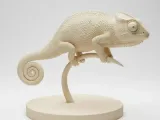 Camaleão-1
