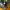 Almacenamiento Gridfinity para calibres digitales Pittsburgh