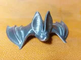 Cute little Bat-2