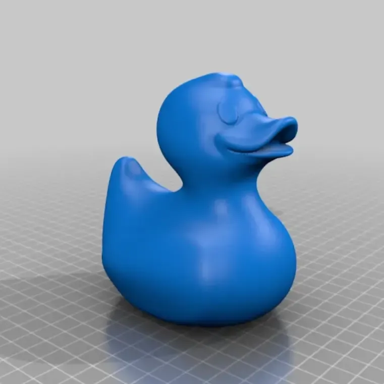 Rubber Duck