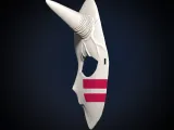 Mukago mask-3