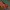 AEDRAG02 - Dragons of Aachyn Xy Gamus