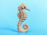 Caballo de mar-8
