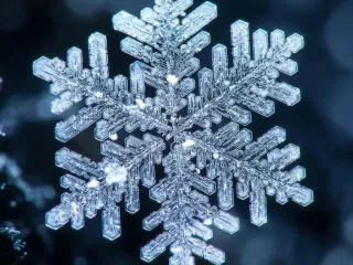 Frozen Symmetry