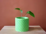Butterfly Planter-3