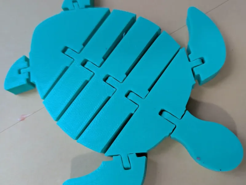 Flexible Sea Turtle
