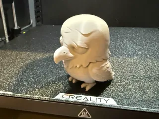 Bald Eagle