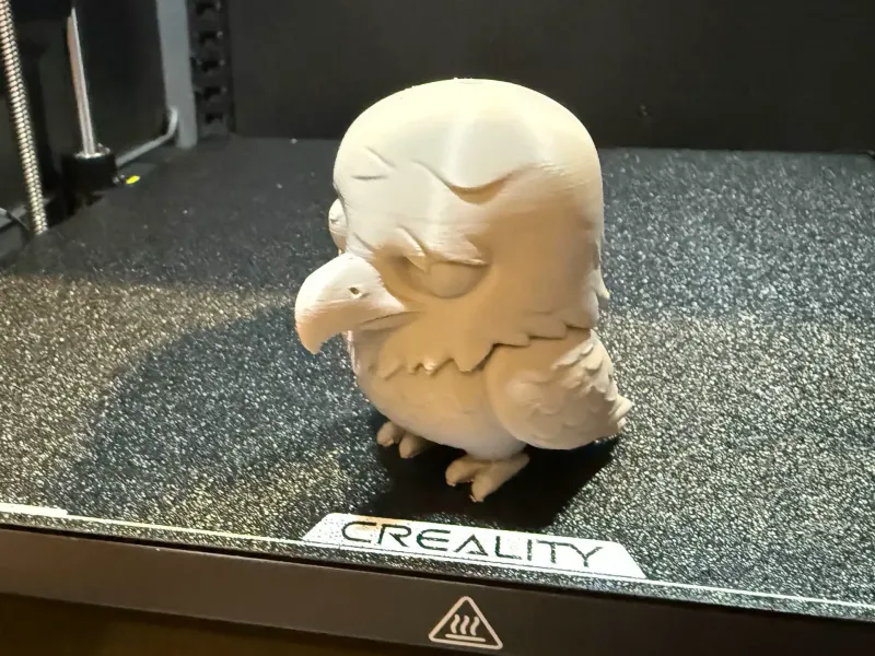 Bald Eagle