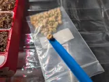 Seed Depth Rod w Depth Rings-2