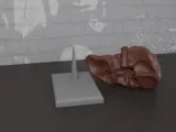 Human Anatomy Liver Organ-5