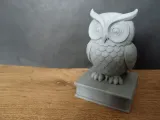 Wise Owl-3