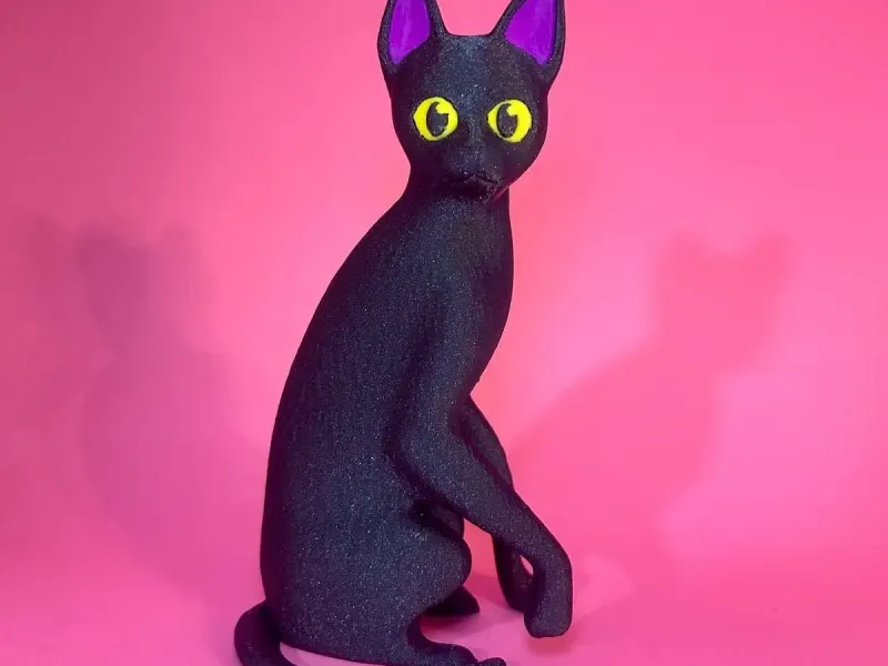 FLOW Cat-cat