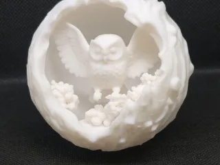 owl in orb