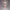 Sunny Sky Sweetheart – Ecchi Cozy Charm