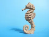Caballo de mar-5