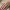 Anillo de Cinta de Doble Flujo – Noah0x03