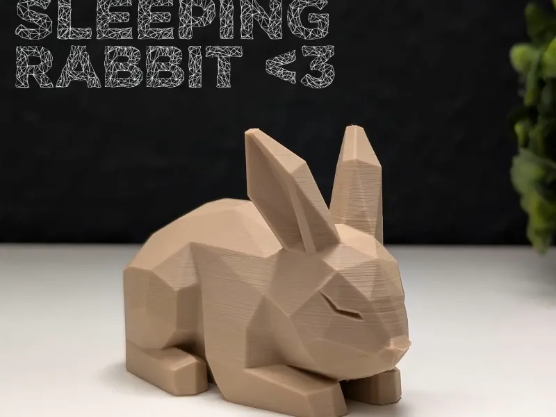 Conejo Durmiendo Low Poly