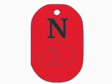 Valentine Keychain - N-0