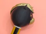 Goal & Resolution Writer a Lunar New Year Horse Pen Cap-4