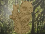 Owl tree 2-1