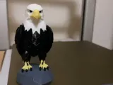 Bald Eagle-2