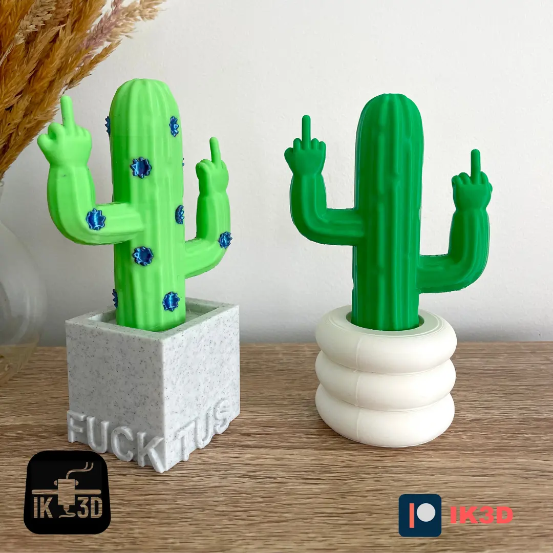 CACTUS FLIPPING THE BIRD