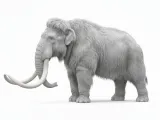mammoth.-1