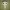 Funko Chica Embarazada