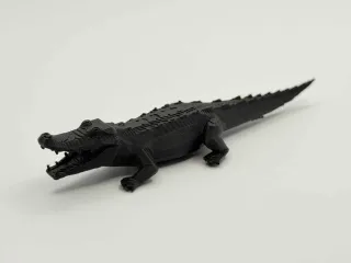 Hungry Crocodile
