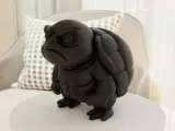 Grumpy Turtle-7