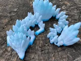 Peacock Dragon-0