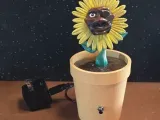 demo flower-0