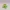 Disney Tsum Tsum Mike Monster Inc Planter Doos