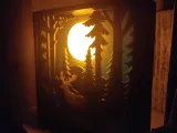 Forest shadow box-1