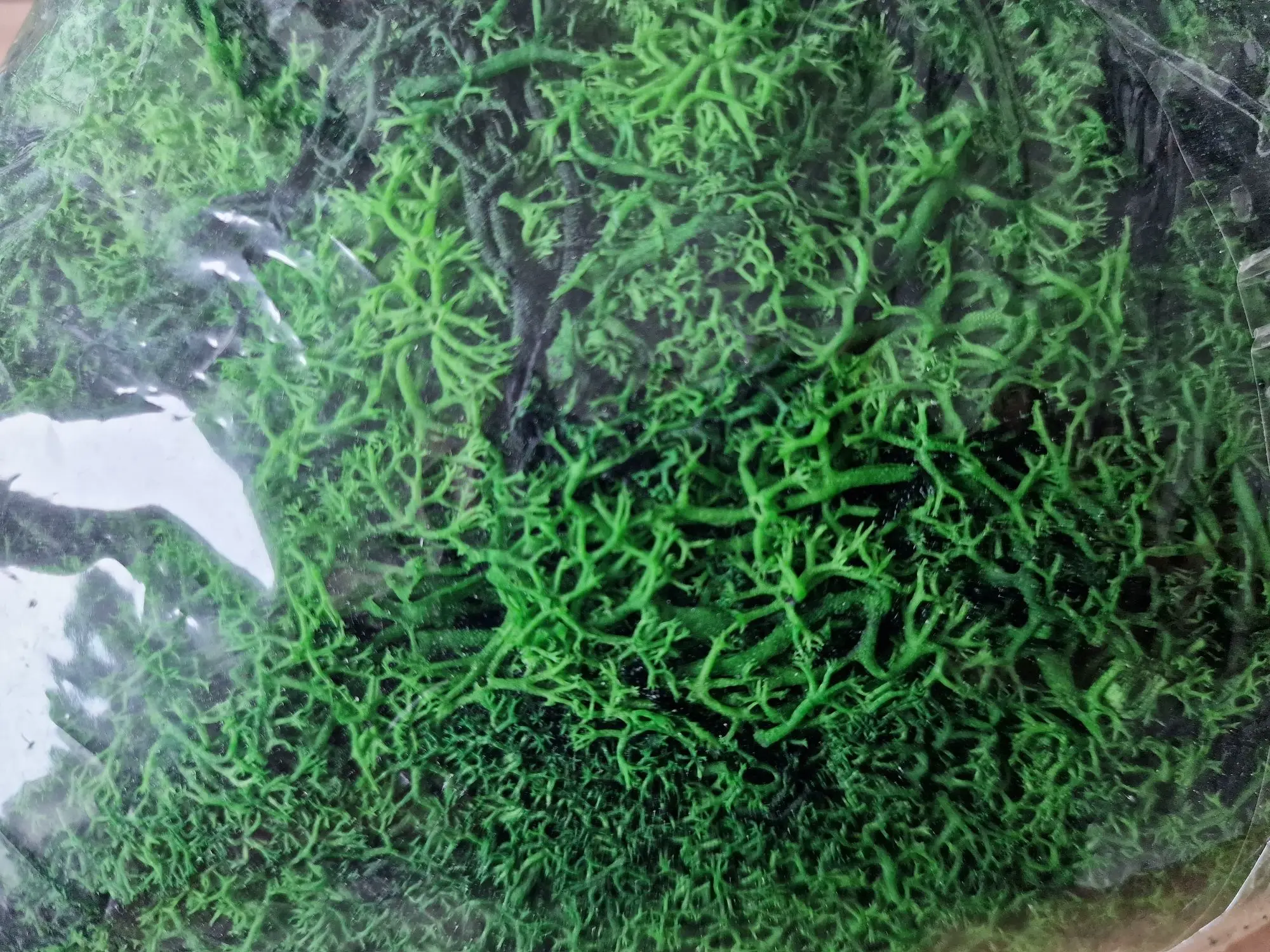 Decurative and great moss project in the shape of an X or + 3D models