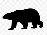 2D to 3D Animal Series1(2D轉3D動物系列1)-1