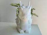 أصيص التنين-2